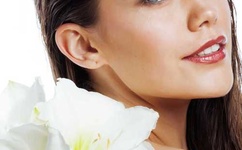 又色又爽的无遮挡免费网址